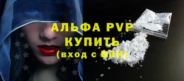 гашик Каменногорск