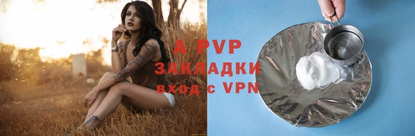 apvp Инта