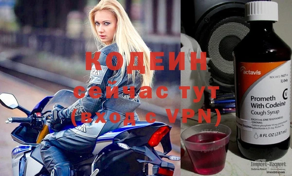 гашик Каменногорск