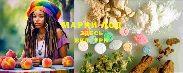 гашик Каменногорск